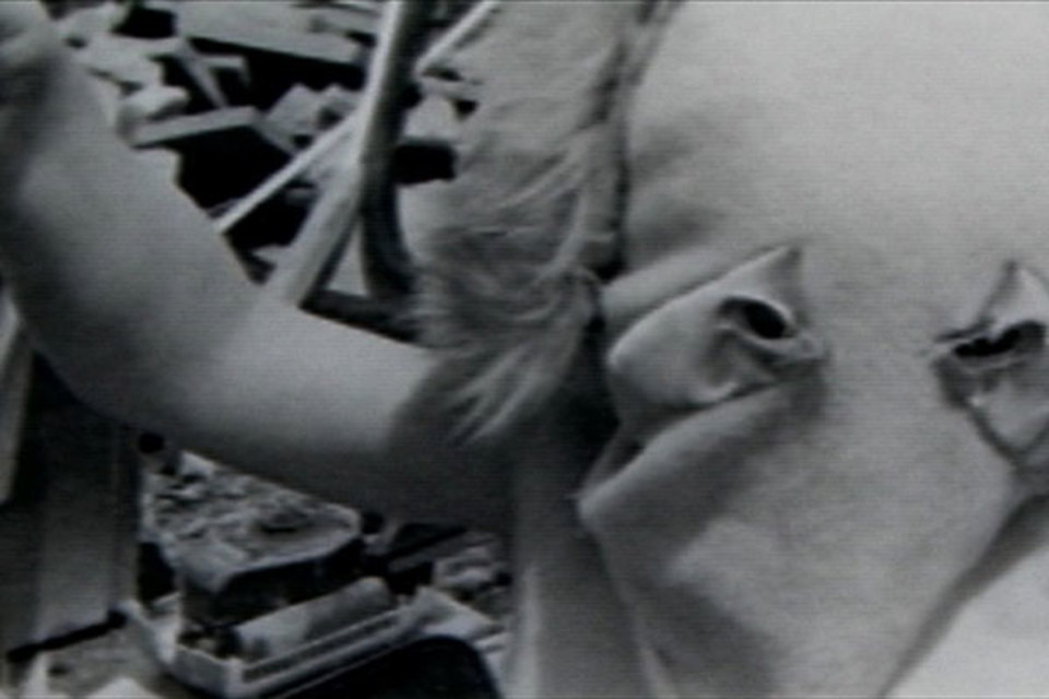 Film Still: Ben Rivers ‘Ah Liberty!’ 2008 16mm Black & White Film 19mins, Wild Shapes, Cell Project Space